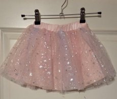 20240243 Petticoat rokje rose