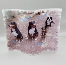 Foto Acryl Groot